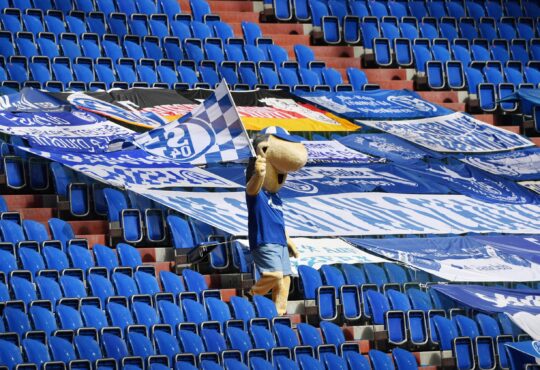 Veltins Arena