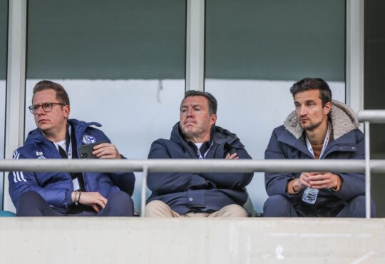 Marc Wilmots, Matthias Tillmann, Andre Hechelmann