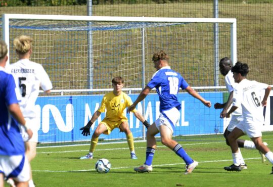 Schalke U17