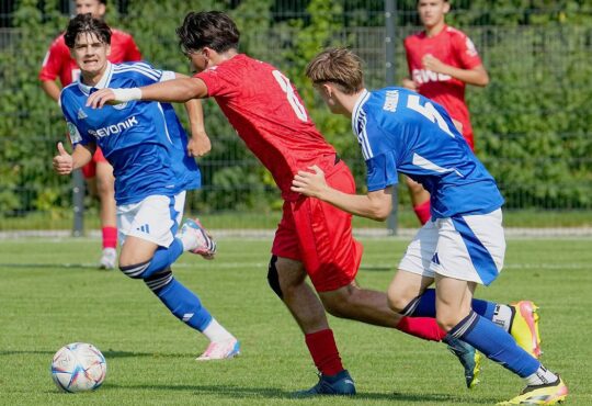 Schalke U17