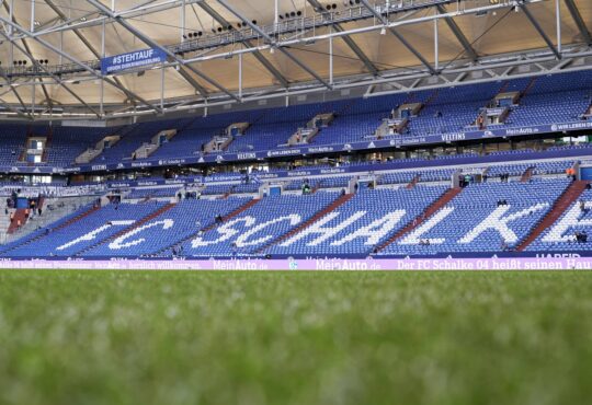 Veltins Arena