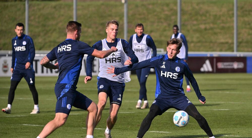 Schalke Training