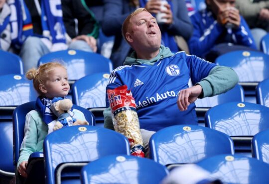 Schalke-Fans in der Veltins-Arena.