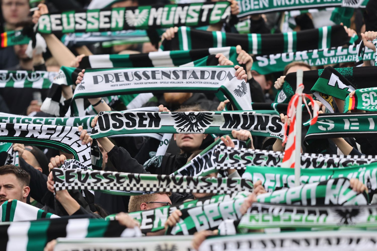 Fans von Preußen Münster