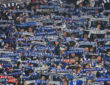 Schalke-Fans