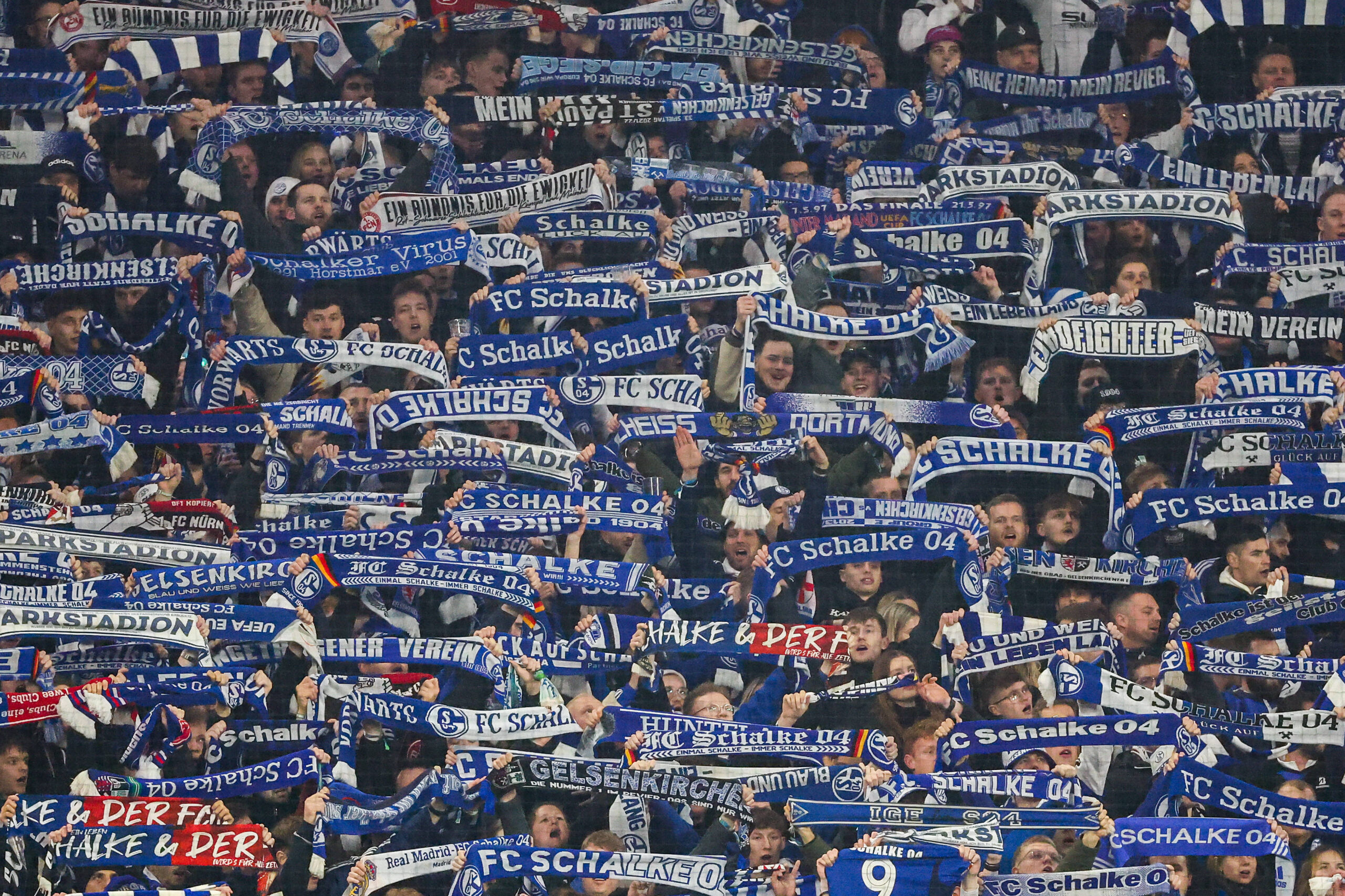 Schalke-Fans