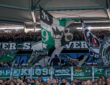 Hannover 96-Fans