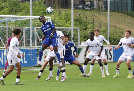Schalke U19
