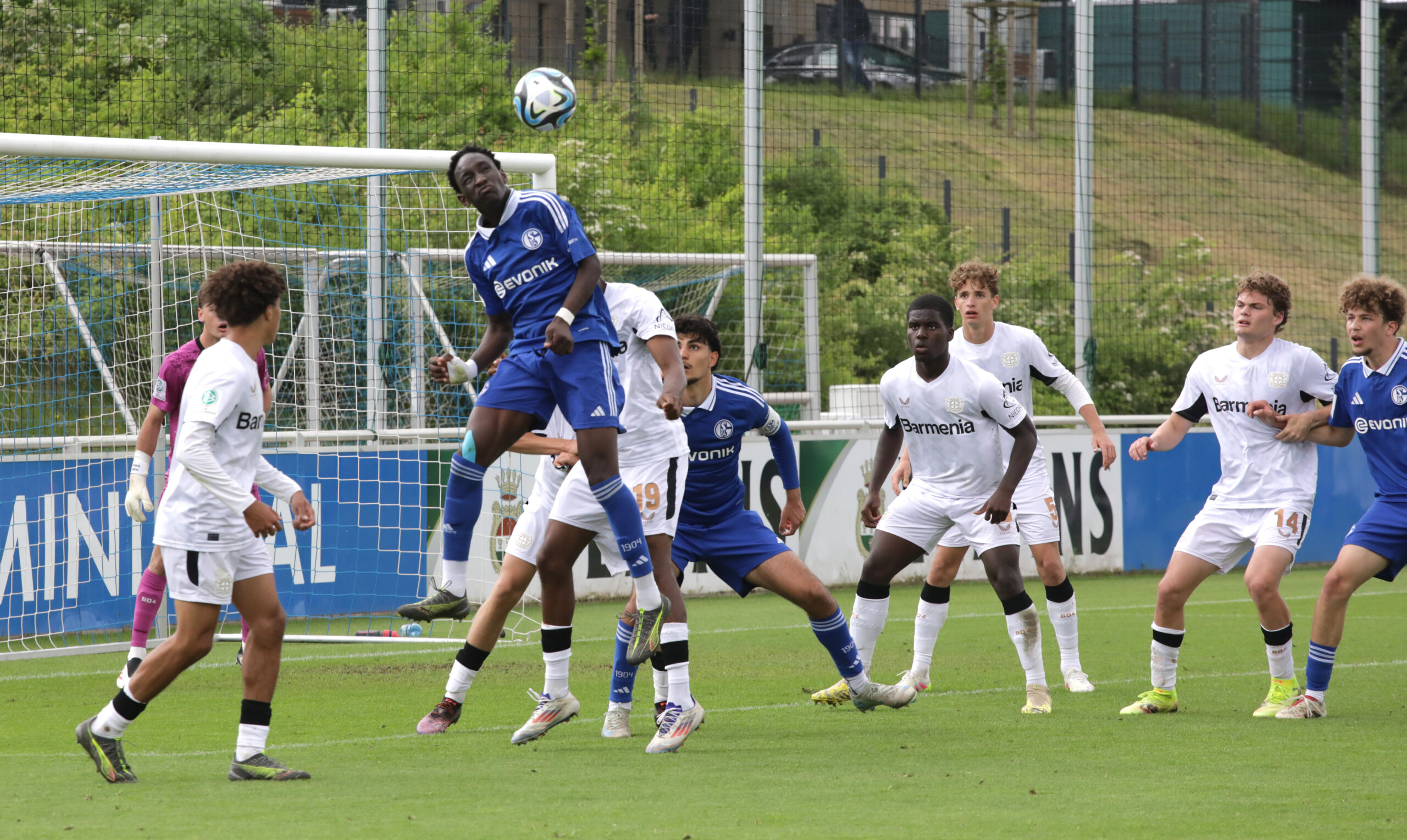 Schalke U19
