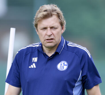Youri Mulder