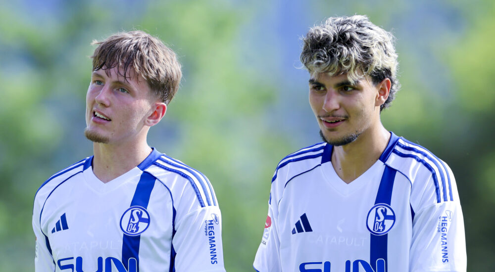 Max Grüger und Mertcan Ayhan