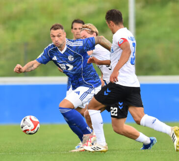 Pierre-Michel Lasogga