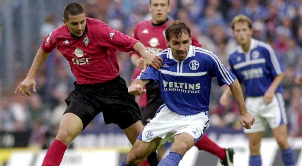 Claudio Pizarro, Jiri Nemec