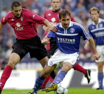 Claudio Pizarro, Jiri Nemec