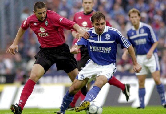 Claudio Pizarro, Jiri Nemec