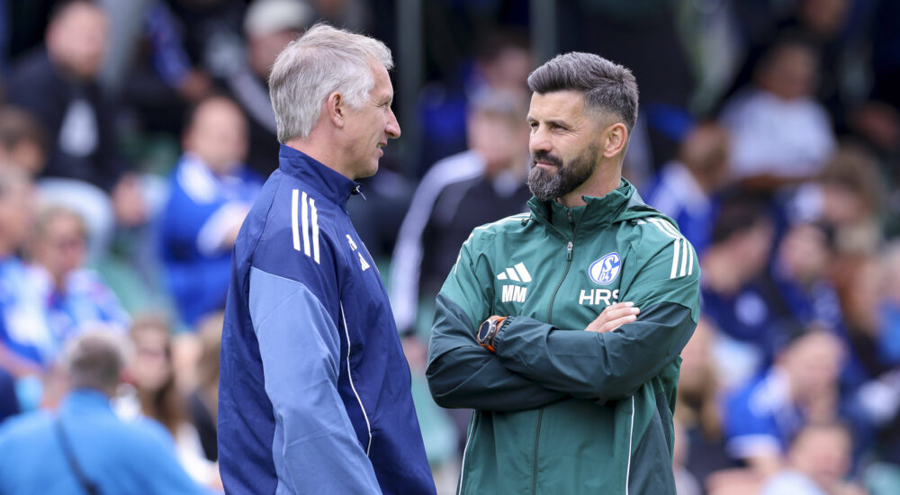 Frank Baumann und Miron Muslic