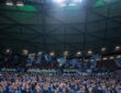 Schalke-Fans