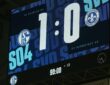 FC Schalke 04 - SV Darmstadt 98