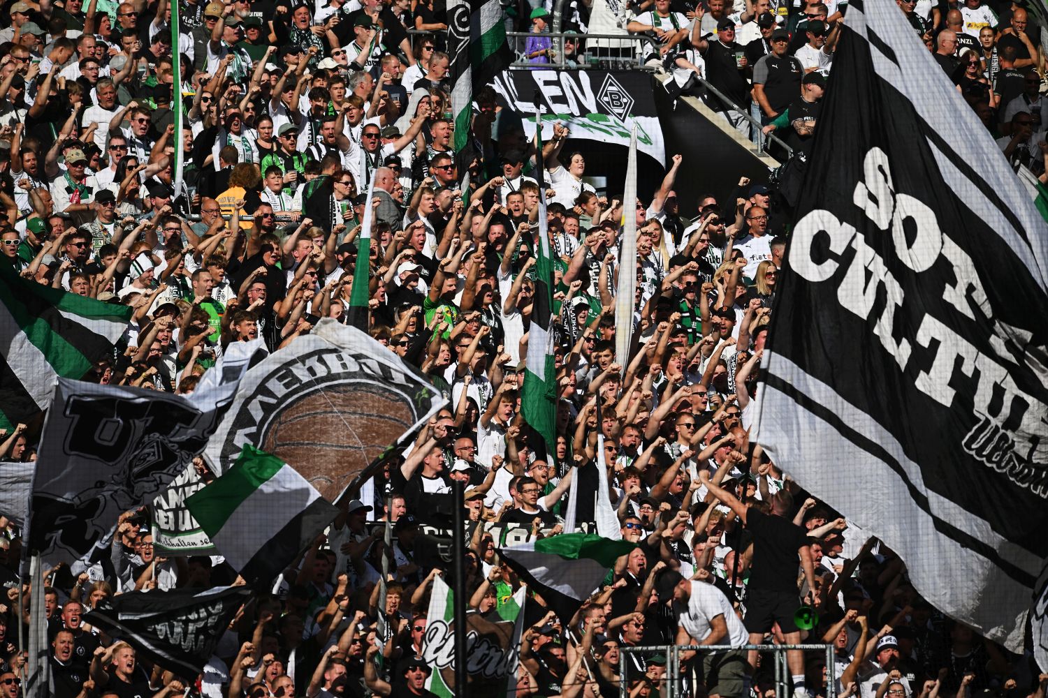 Fans, Borussia Mönchengladbach