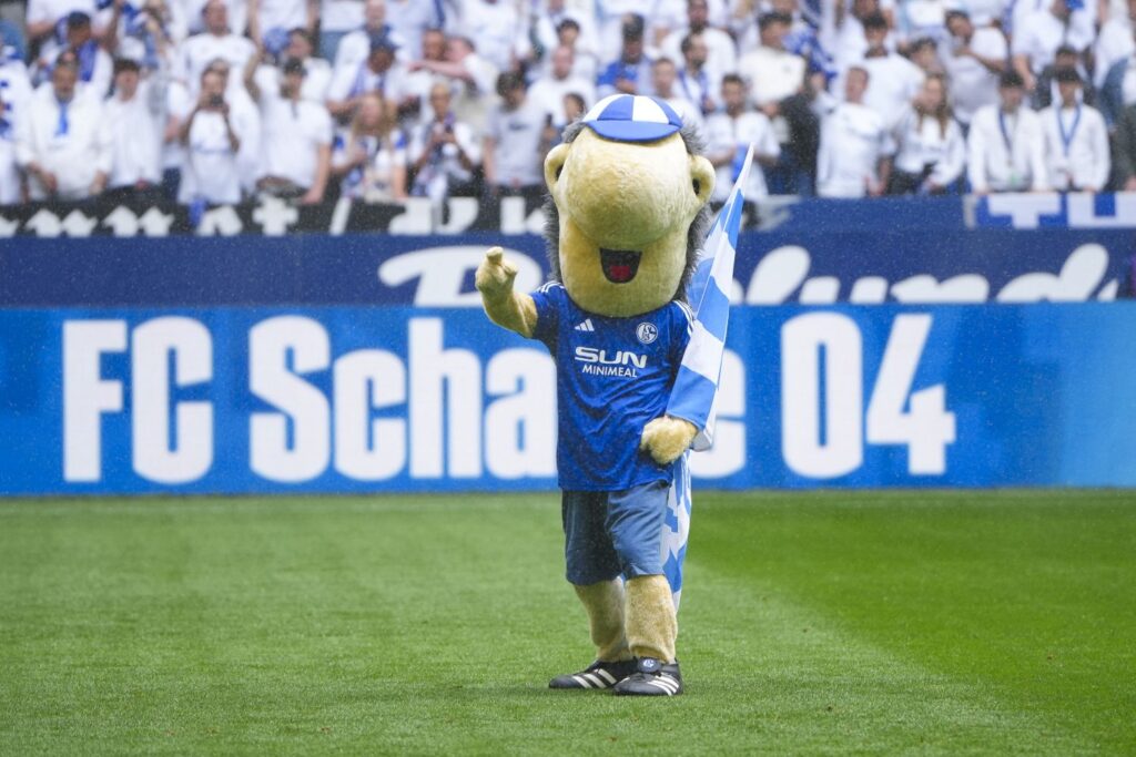 Maskottchen Erwin in der Veltins-Arena