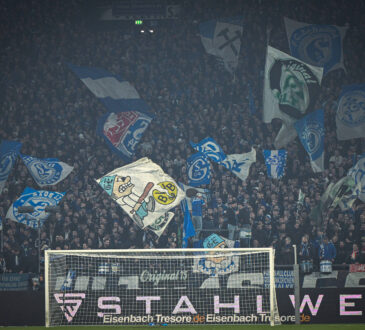 Schalke-Fans