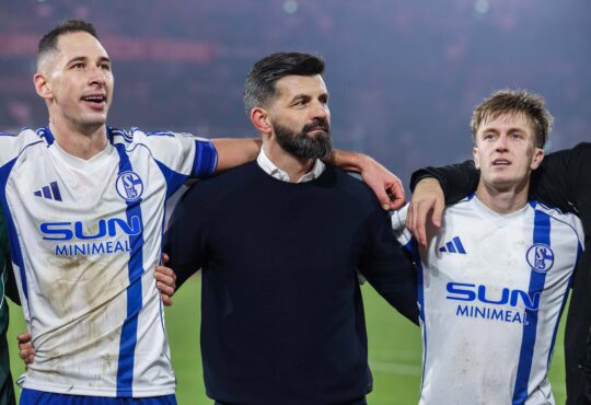 Nikola Katic, Miron Muslic und Paul Pöpperl