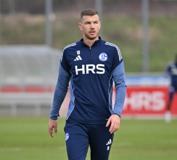 Edin Dzeko