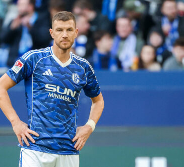 Edin Dzeko
