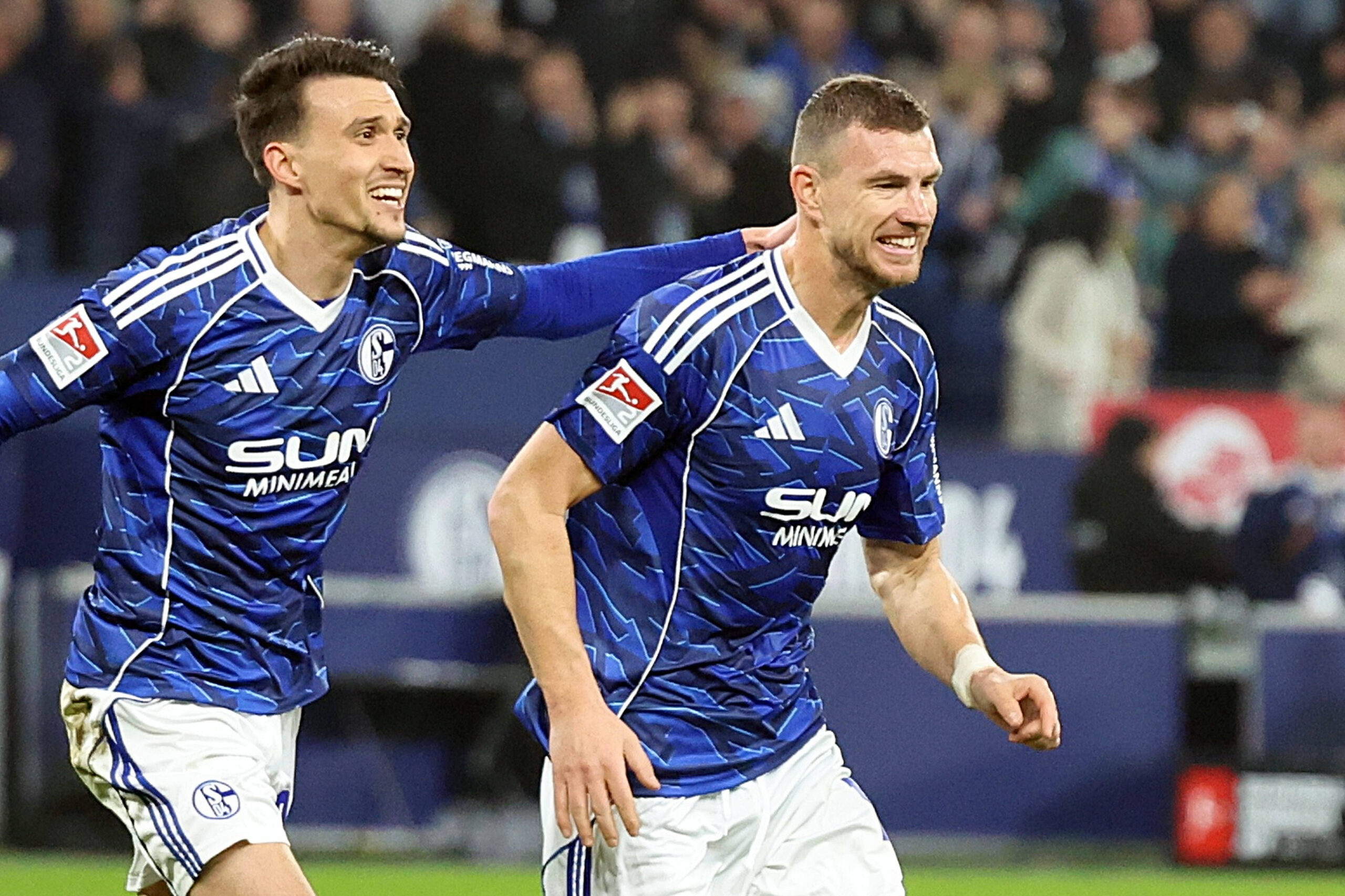 Dejan Ljubicic und Edin Dzeko