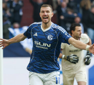 Edin Dzeko