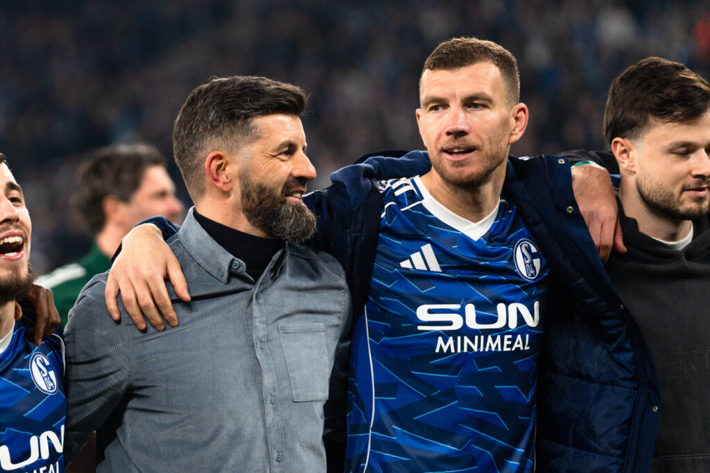 Miron Muslic und Edin Dzeko