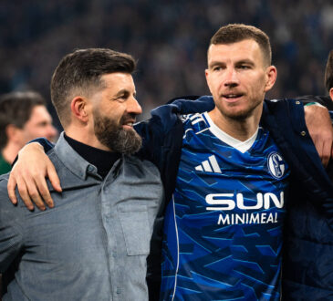 Miron Muslic und Edin Dzeko