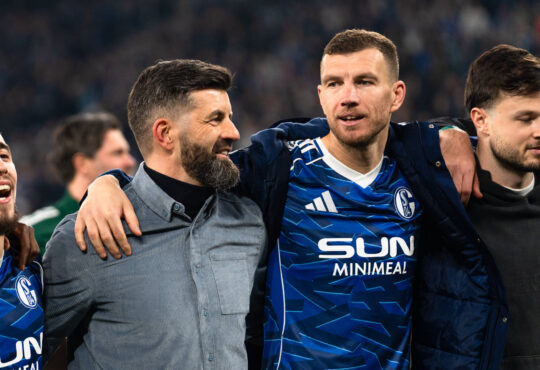 Miron Muslic und Edin Dzeko