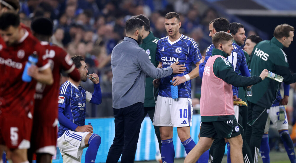 Miron Muslic und Edin Dzeko