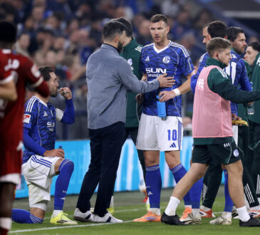 Miron Muslic und Edin Dzeko