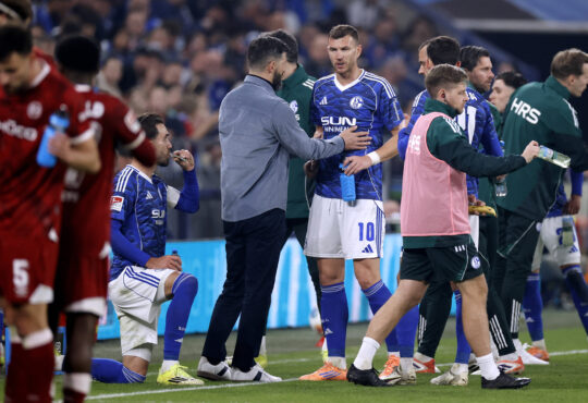 Miron Muslic und Edin Dzeko