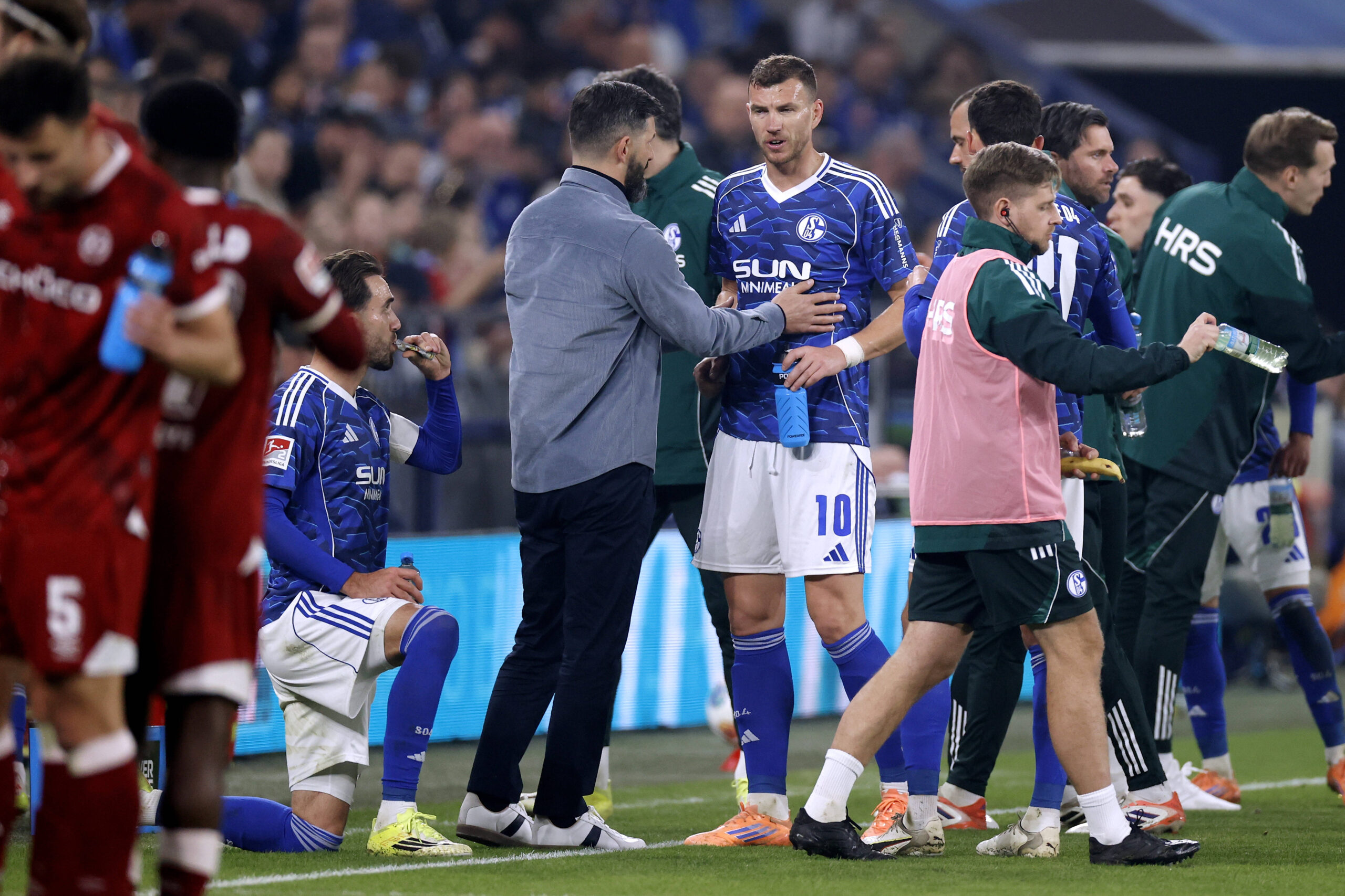 Miron Muslic und Edin Dzeko