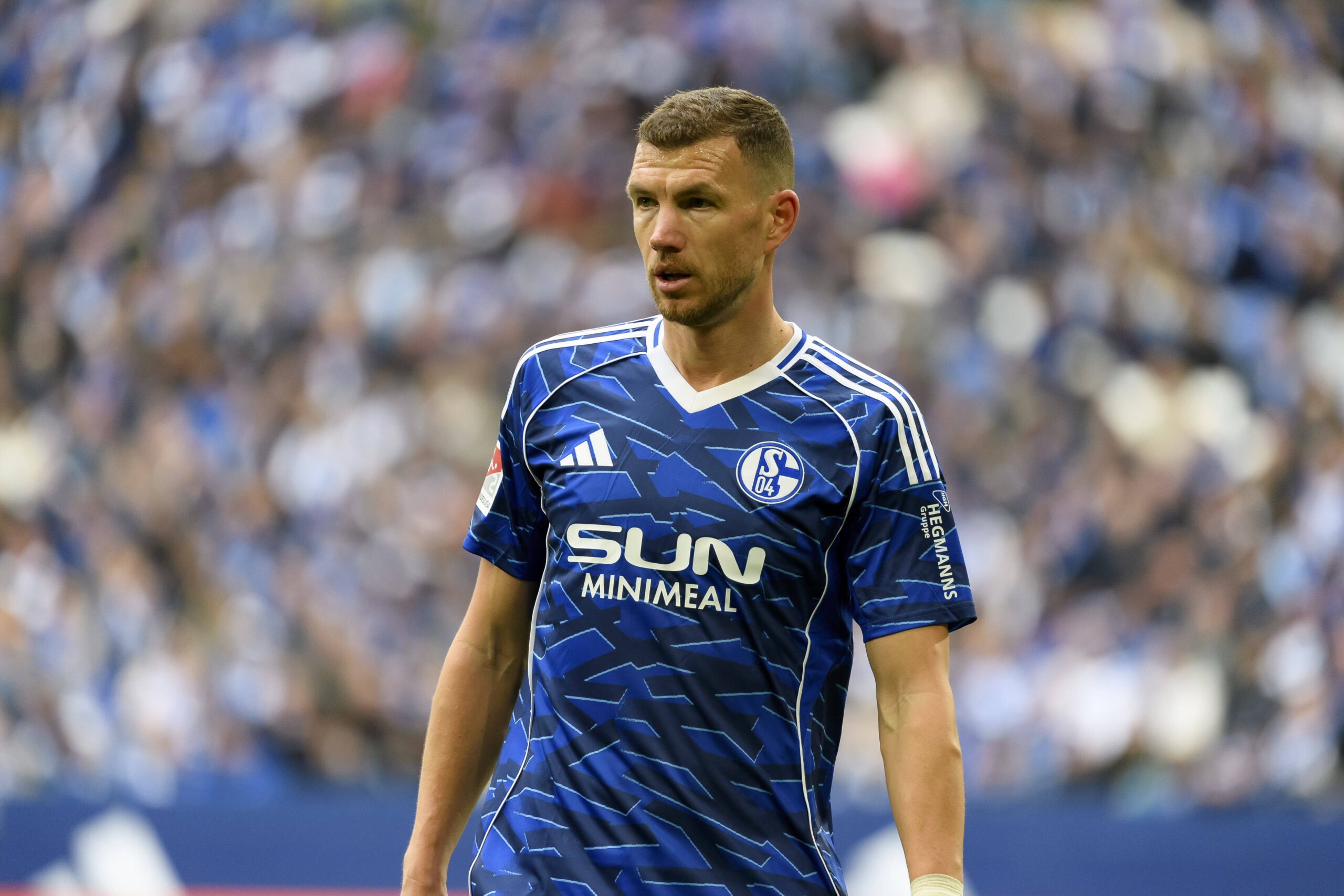 Edin Dzeko