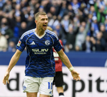 Edin Dzeko
