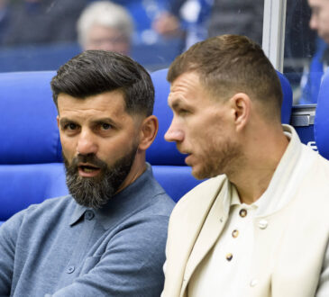 Miron Muslic und Edin Dzeko