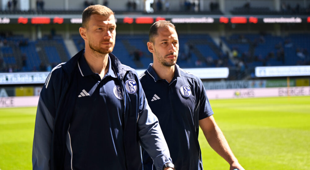Edin Dzeko und Nikola Katic
