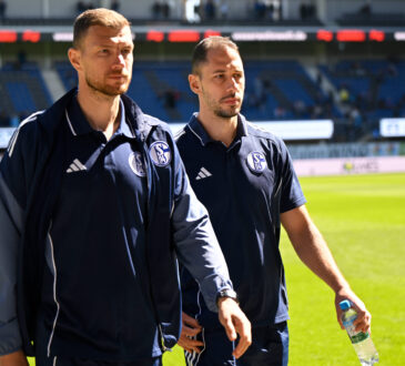 Edin Dzeko und Nikola Katic