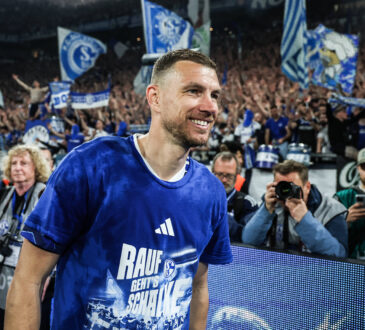 Edin Dzeko