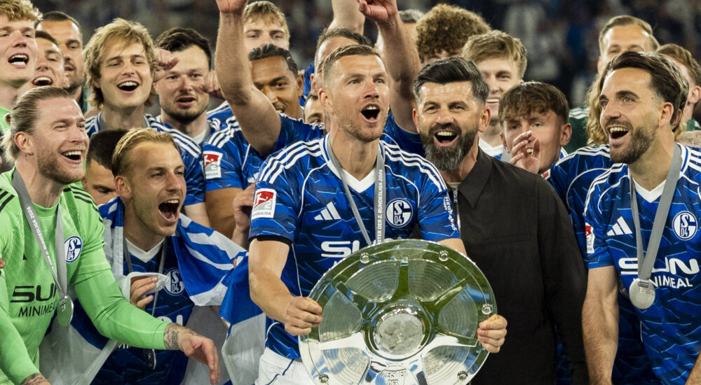 Edin Dzeko