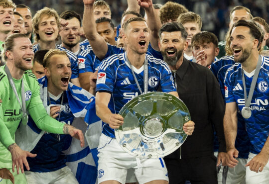 Edin Dzeko