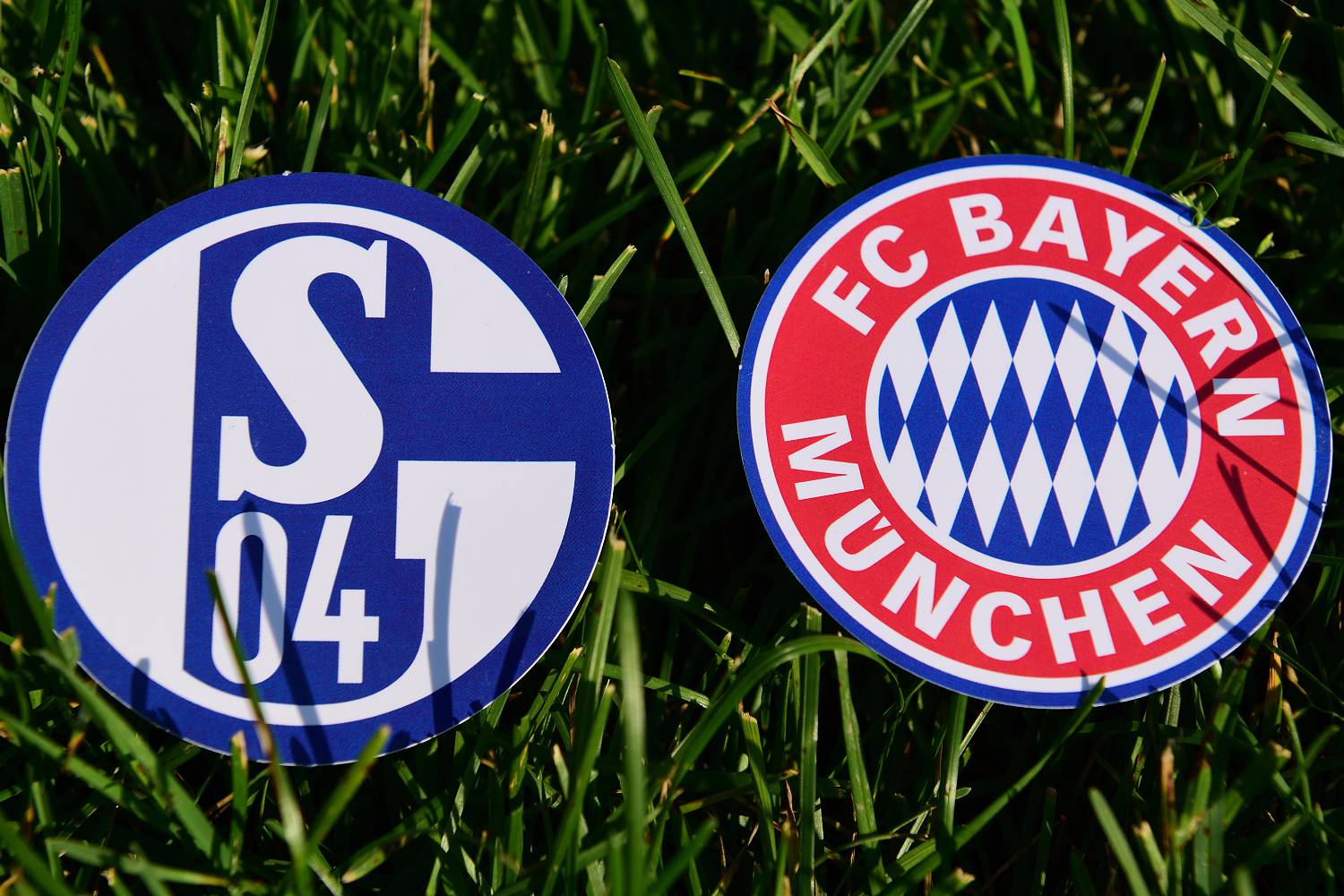 Schalke und Bayern