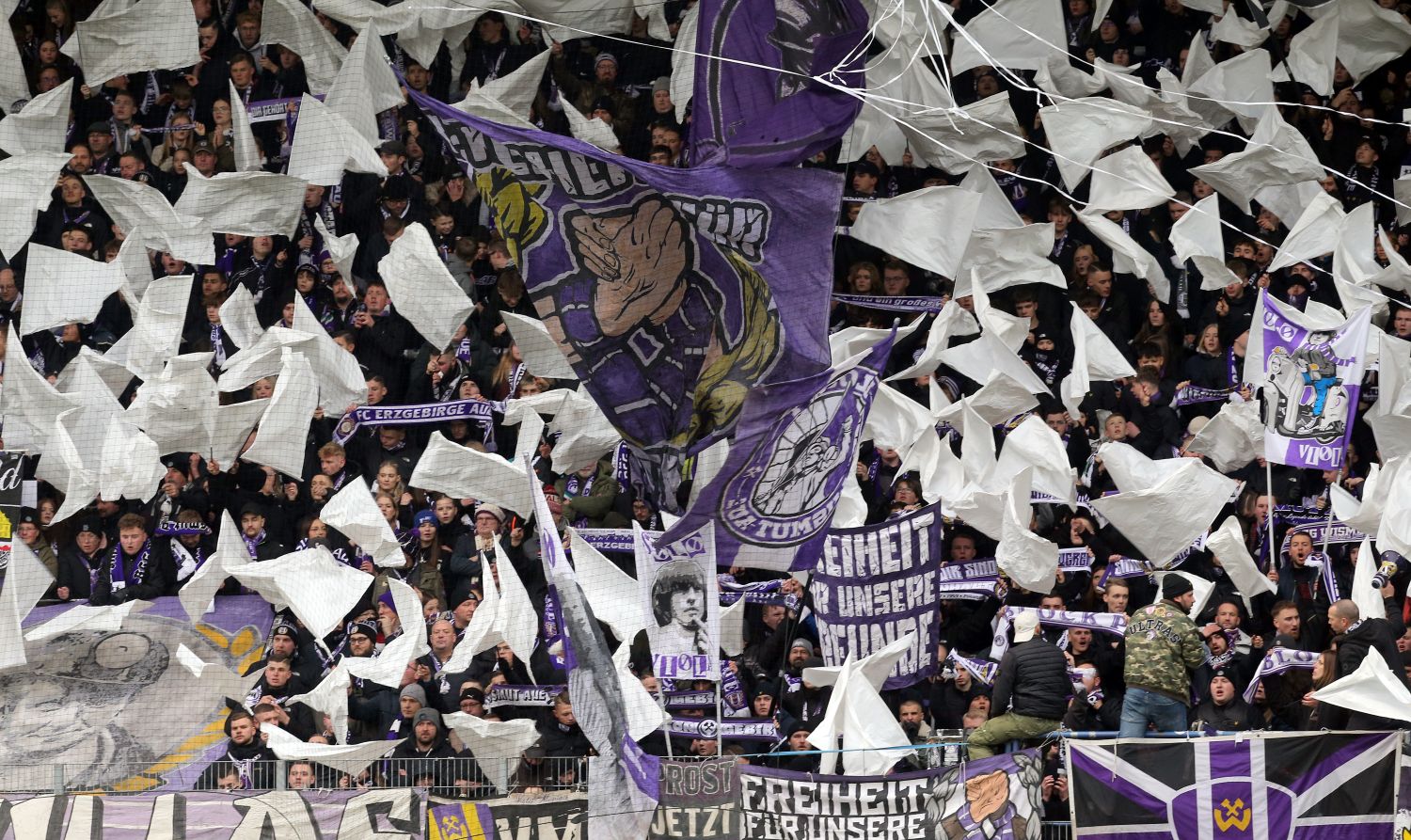 Erzgebirge Aue Fans