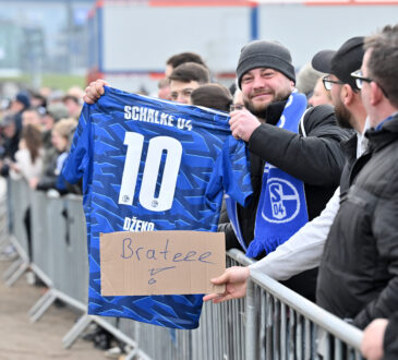 Schalke Dzeko-Trikot