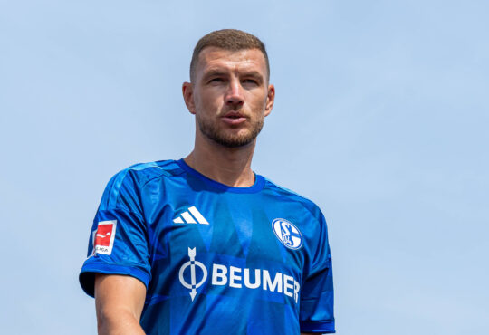 Edin Dzeko
