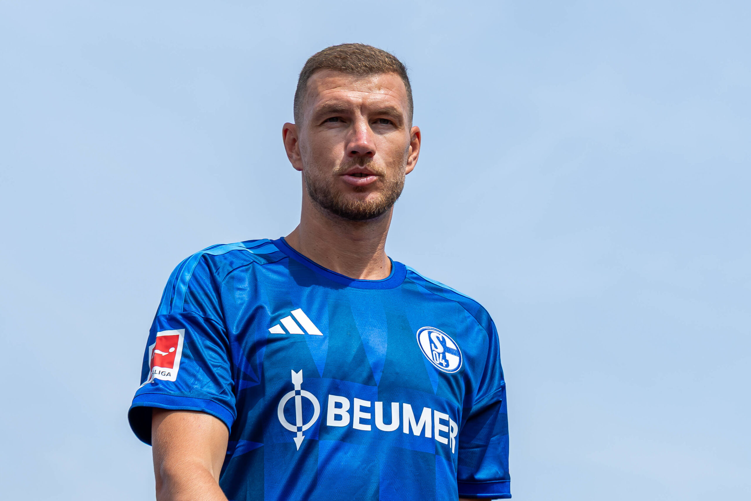 Edin Dzeko